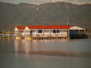 Theoxenia Messolonghi