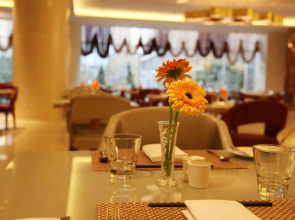 Pullman Linyi Lushang