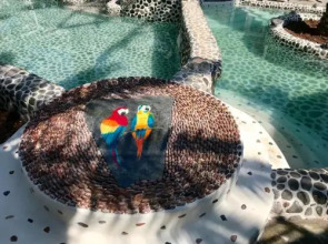 Flamingo Hotel & Spa - Pet Friendly