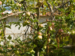 Hotel & Residence Matarese