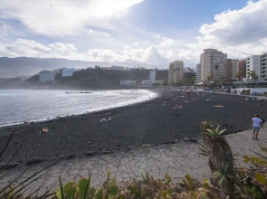 Checkin Concordia Playa