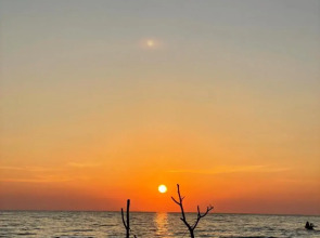 Sunshine on the rock