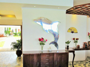 Quo Vadis Dive Resort Moalboal