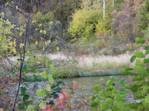 ЭКО Отель Настасьино Хуторок