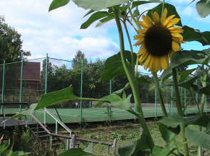 База отдыха "Стерж"