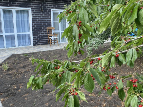 Гостевой дом VIP HOUSE