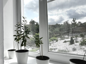 Частный дом Дом в историческом центре Смоленска с шикарным видом