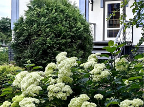 Гостевой дом Лавандовый сад