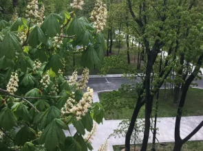 Апартаменты Причал 5