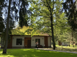 Отель Ruza Forest