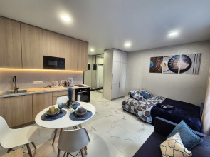 Апартаменты Большая студия в ЖК Кит у станции