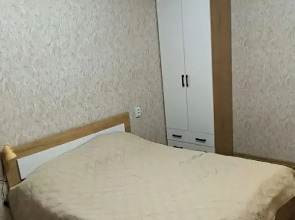 Квартира Уютная Светлояр