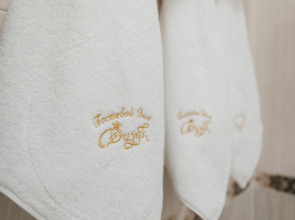 Отель Дизак