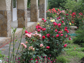 Гостевой Дом Елена