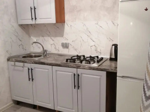 Апартаменты на Толстого 4