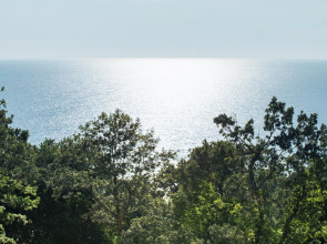 Отель Гостеев