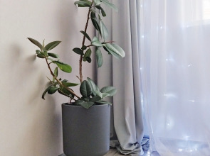 Квартира Эстетик рент