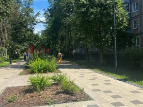 Квартира ЭЛИС