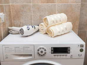 Квартира у Лахтинского разлива