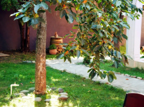 Отель Tbilisi Garden