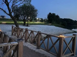 Частный дом Like Aparts