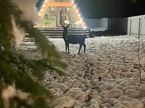 Частный дом На Природе