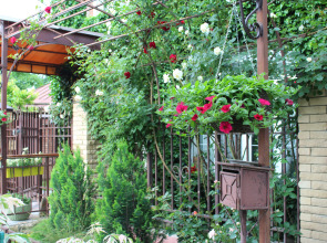 Гостевой дом У Друзей