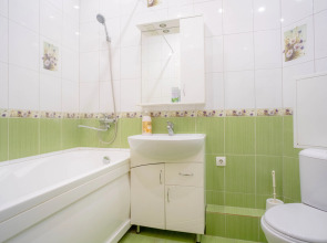 Апартаменты просторная однушка на главном проспекте города