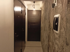 Квартира Константин-Апарт-Луначарского (3)