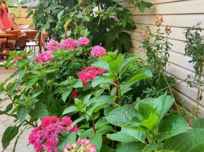 Гостевой дом Морская сказка