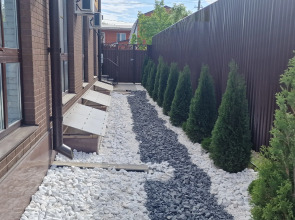 Апартаменты Чапаева 5