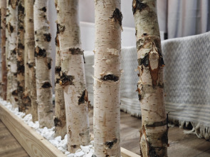 Квартира Уютная квартира у Красного Поля