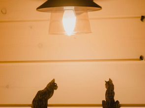 Гостевой Дом Воскресение