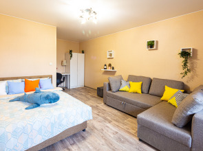 Квартира на улице Озерная 29к3