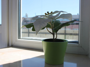 Мини-Отель В центре