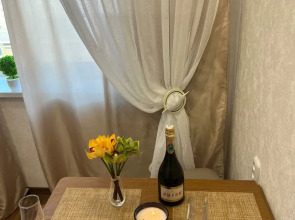 Апартаменты 1-комнатные с видом на Волгу (Бухта)