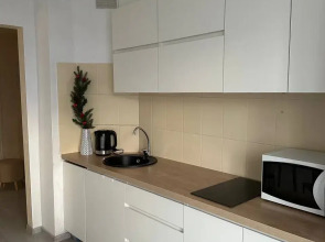 Однокомнатная квартира Колпино