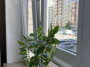 Квартира Дизайнерская в Центре Каспийска