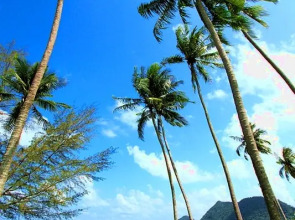 Апартаменты Siam Royal View