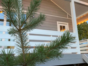 Шале Везувий