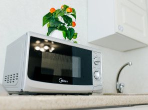 Апартаменты Альфа Хоум Плюс в Центре Челябинска