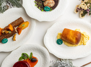 Отель Елена Шерегеш