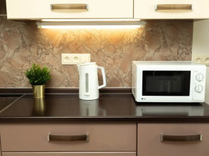 1-к апартаменты Этажидейли на Шевченко 20