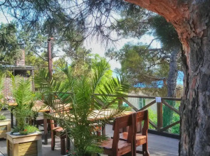 Отель Можжевеловый Парк