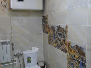 Отель Золотая рыбка