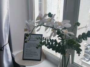 Апартаменты Зверева 4