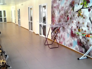 Гостевой дом Дивный