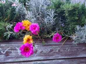 Гостевой дом В гостях у Джулии