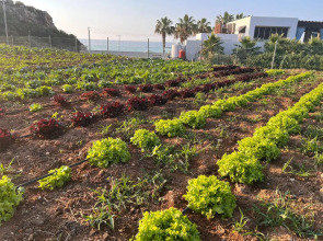 Отель Karpaz Gate Marina