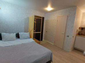 Квартира Снежность на Коминтерна